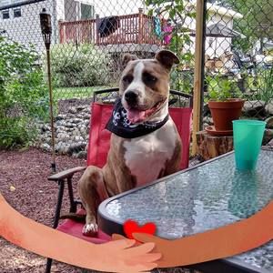 Meet your Posher, Rudy